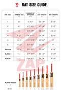 ZAP Instinct Kashmir Willow Bat